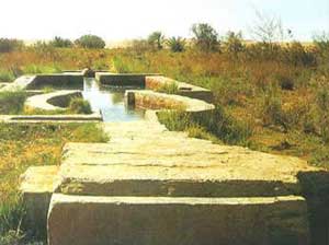 Fayoum spring