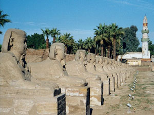 Luxor Temple Sphinx lined causeway