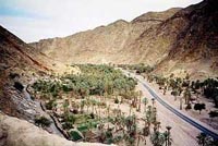 Wadi Feiran